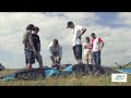 Kitesurfen lernen auf der Ostsee Insel Rügen mit www.proboarding.de