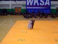 Kuk Sool Won Korean Championships - Monk Techniques
