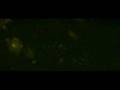 videos de 50 Cent Ft Justin Timberlake And Timbaland-Ayo Technology.avi