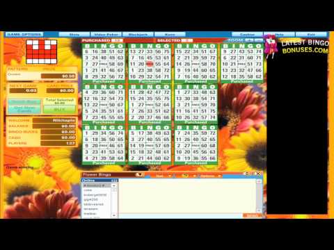 Bingo Canada Video Review