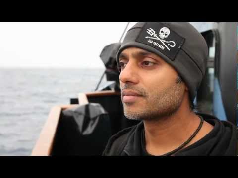 Meet The Crew - Tushar Mehta, Toronto, Canada, Steve Irwin, Operation Zero Tolerance