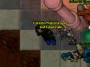 Desert quest jodida