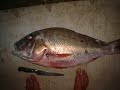 Martinique p�che bat