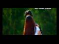  - MovieZen Video