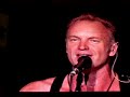 Purple Haze MSG 8.7.08