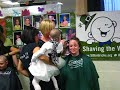 St. Baldrick\ St. Baldrick\