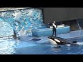 Shamu Rocks! #3 HUGE Killer Whales!!!! HUGE Splashes!!