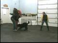 Boyero de Flandes video
