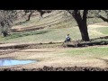 Carmichael vs. Emig 2012