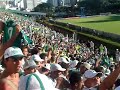 Palestra Italia - Queda dos Gamb�s