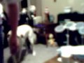 jttvhost's webcam video December 18, 2009, 05:46 PM dont 4 get 2 subscribe