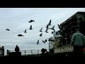 Click here to watch this video 2012年北陸グランドナショナルレース