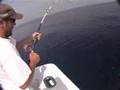 Deep Sea Fishing Destin Florida (rocks!)