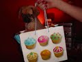Elfy The Puppy Pugalier Elfy The Puppy Pugalier