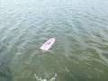 29 RC boat (5)