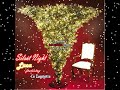 Video Silent Night Natale 2009.avi