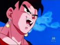 Vegetto\