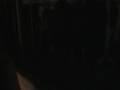 videos de Head Butting Cow