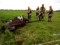 Koe te water Reeweg Nederhorst