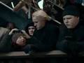 Stars (Draco & Hermione)