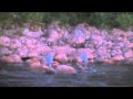 leffe i fossen (2)