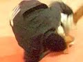 Jiu-Jitsu Itapetinga