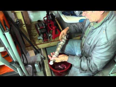 Suzuki Forenza Head Removal – Part 7 (Cams and Lifters Removal)