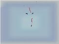 Tiger Animation