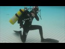 NAUI Leadership Skill - Scuba Bailout NAUI Leadership Skill - Scuba Bailout