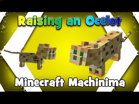 how to ocelot minecraft