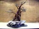 Bonsai Tree Sculpture #33 by Jim Shull
