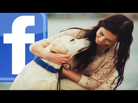 Heart Melting Stories of Facebook Reunions