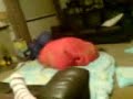 Rhiann and Abby Sleeping bag FIGHT!!! Rhiann and Abby Sleeping bag FIGHT!!!