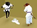 Proper Judo?