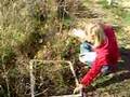 ME4E - Mapping Abiotic & Biotic Things
