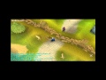 New Wildy Luring 2011