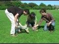 dit-societies-drama-festival.html