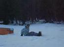 portdelcomte snowpark