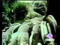 Lene Lovich Bird Song.mpeg