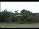 carters quickie 500  moonport