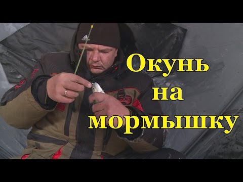 рыбалка на пыздрика видео рыбалка на пыздрика видео