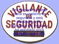 Intrusos en la seguridad privada