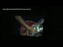 Queen + PR | Bijou - Live in Argentina 2008
