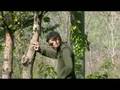 Santi Ribelli -Peace-