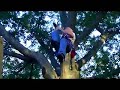 Tree Climbing DRT