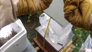 Adding the 2nd swarm and checking the 1st