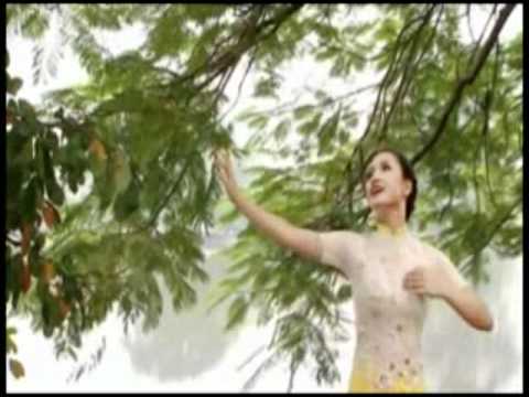 Tình khúc nguyệt hồ