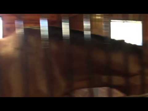 horses grand national