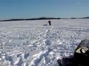 Caribou Trout dressed like a Jackfish