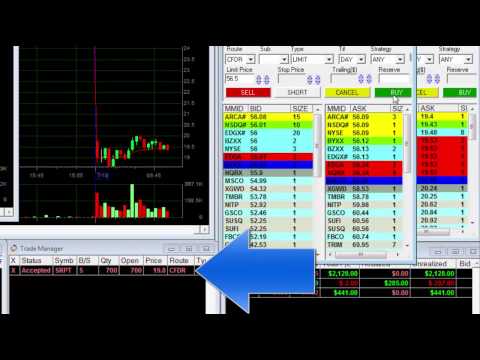 Losing $1,400 in Day Trading, and then… Meir Barak